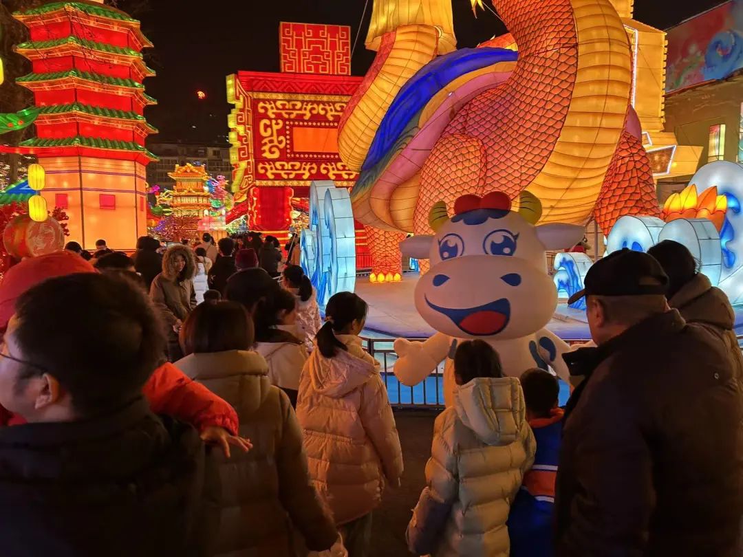 央視直播鄭州龍年燈會迎新春，花花牛品牌上大分