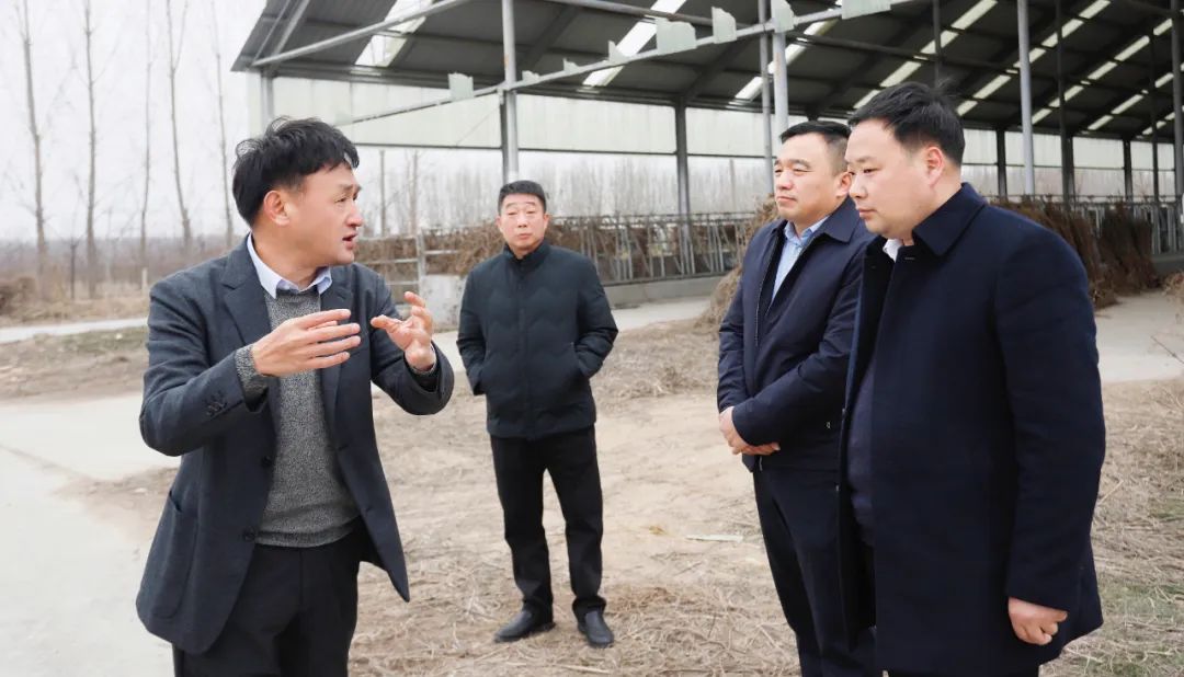 發(fā)揮產(chǎn)業(yè)優(yōu)勢 助力鄉(xiāng)村振興 | 民權(quán)縣委副書記、縣長王靜嫻會(huì)見關(guān)曉彥董事長一行