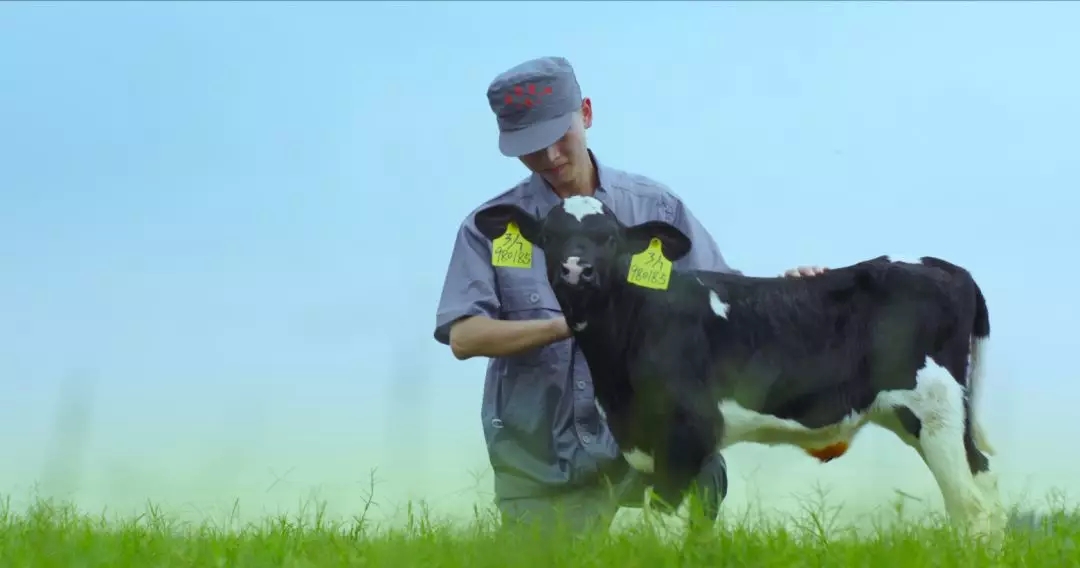 河南省人大常委會(huì)黨組書記、副主任孔昌生蒞臨花花牛魯山瑞亞牧場參觀調(diào)研