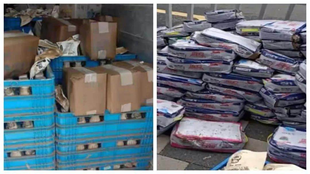 【乳報(bào)·聚焦】“豫”難而上的中原牛人“太中了”！