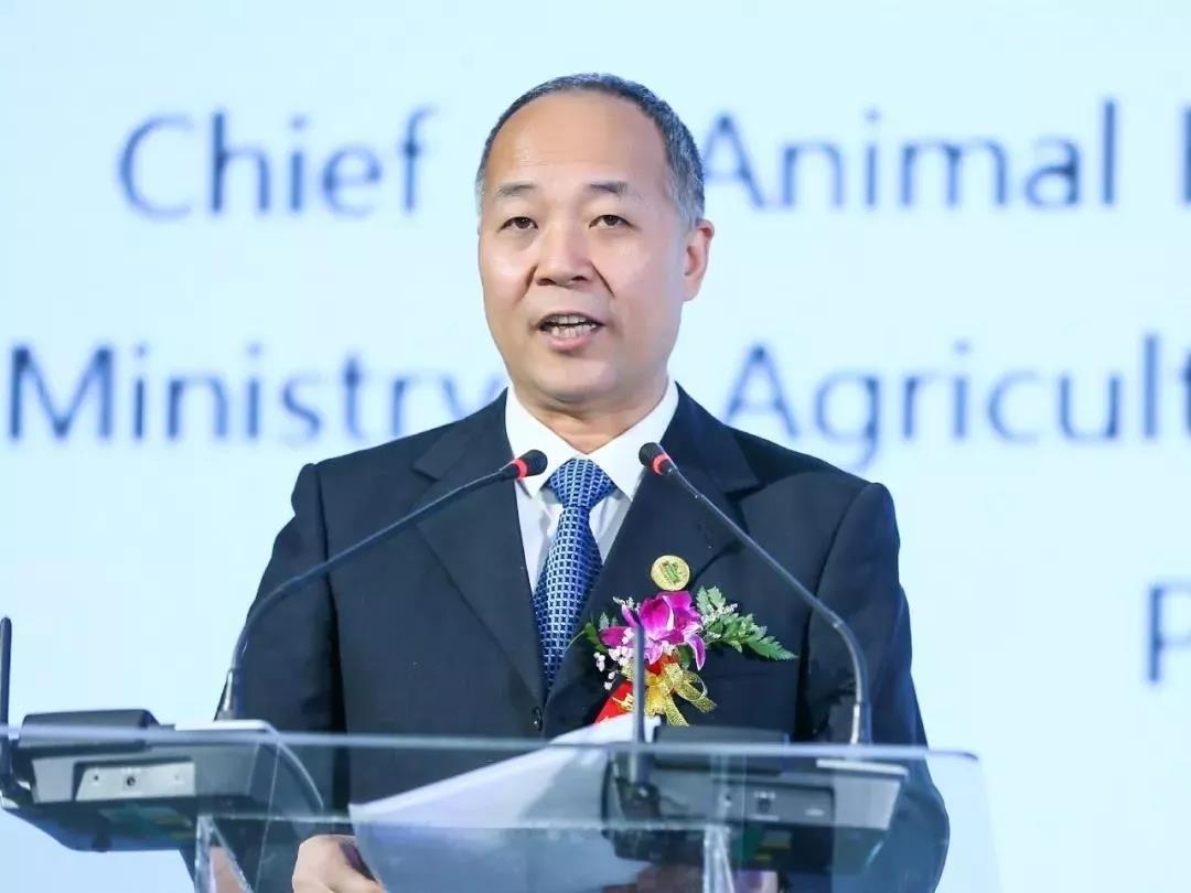 SDDDC走進河南，看看花花牛的國際范兒！