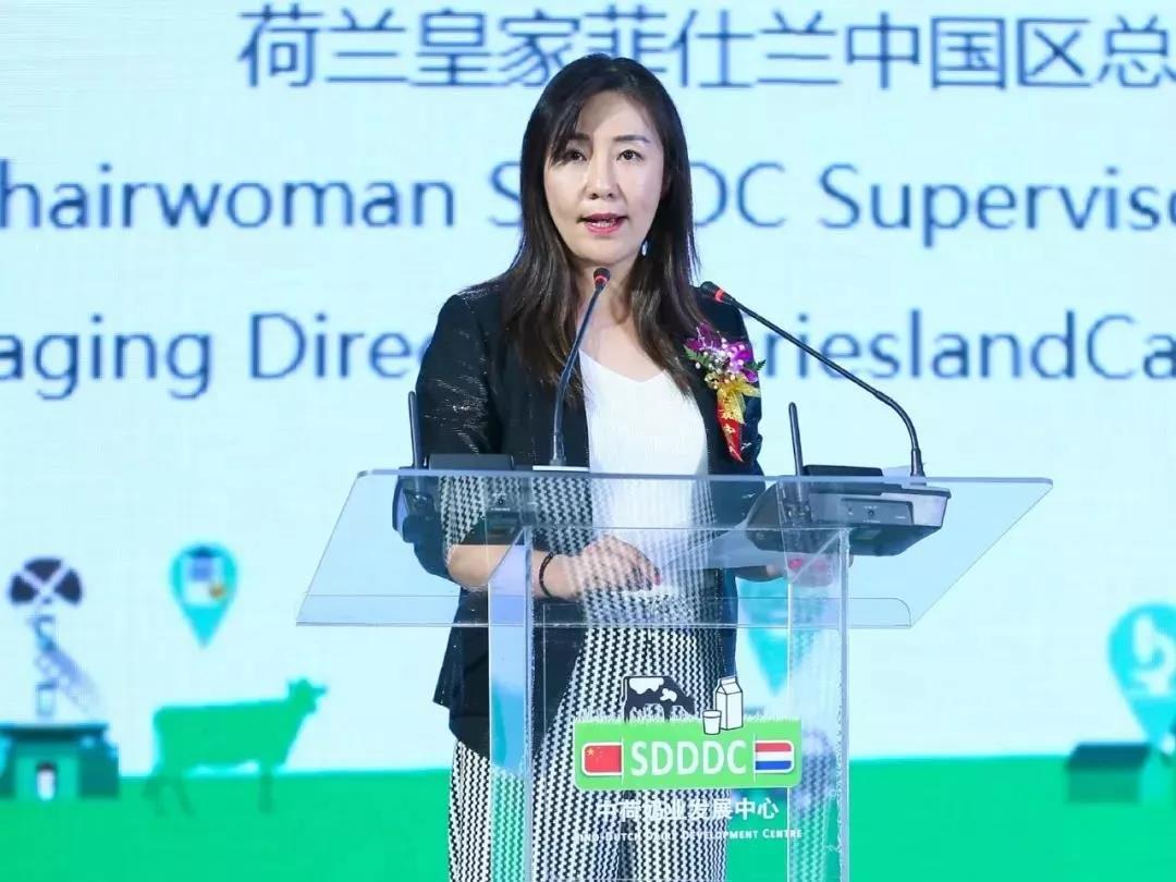 SDDDC走進河南，看看花花牛的國際范兒！