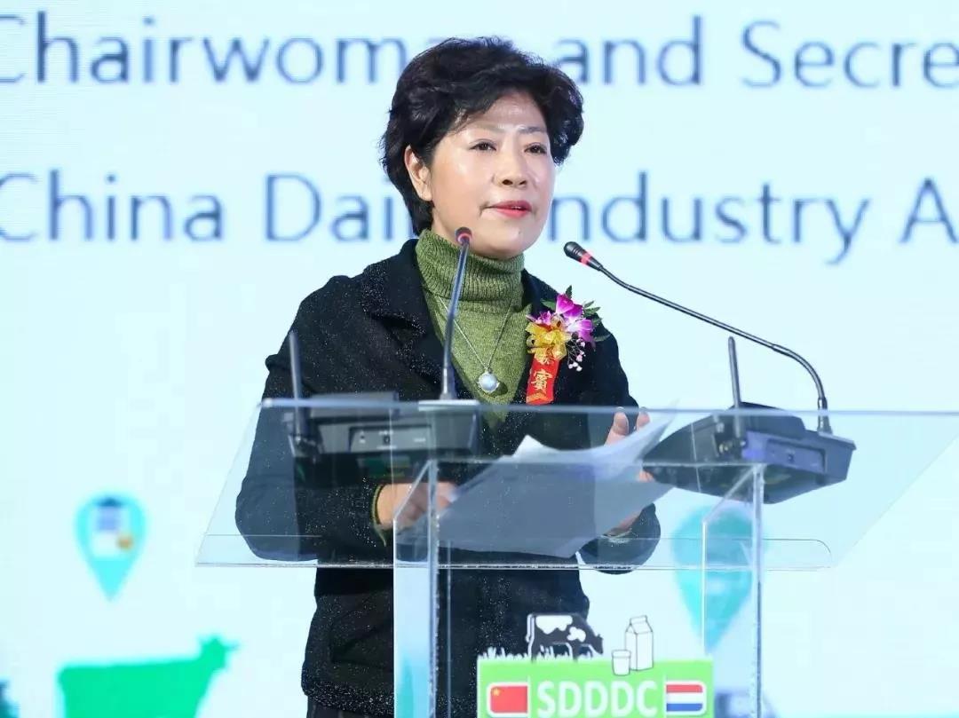 SDDDC走進河南，看看花花牛的國際范兒！