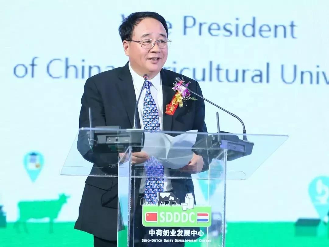 SDDDC走進河南，看看花花牛的國際范兒！