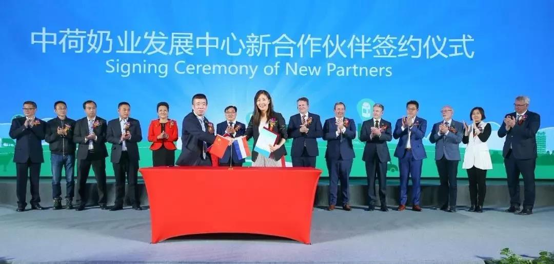 SDDDC走進河南，看看花花牛的國際范兒！