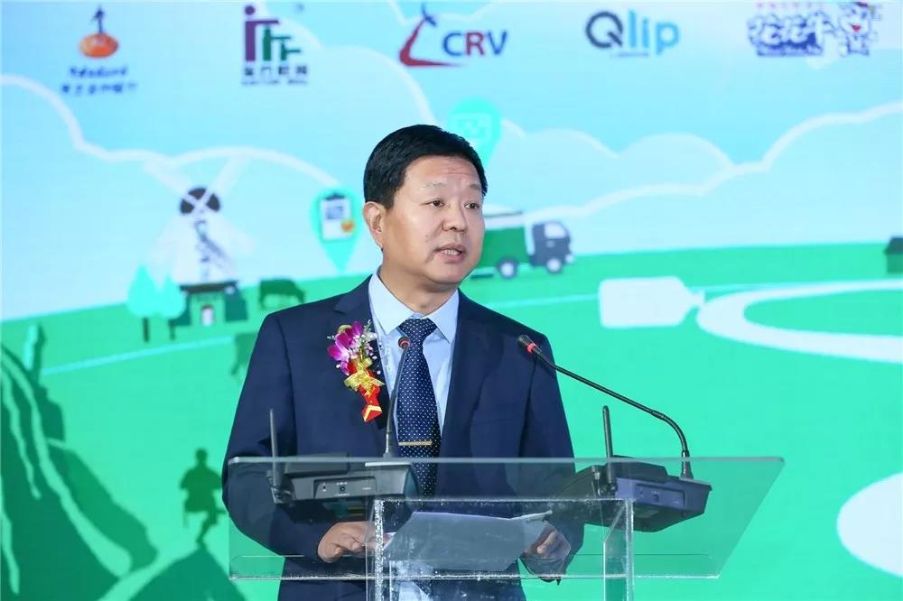 SDDDC走進河南，看看花花牛的國際范兒！