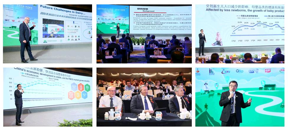 SDDDC走進河南，看看花花牛的國際范兒！