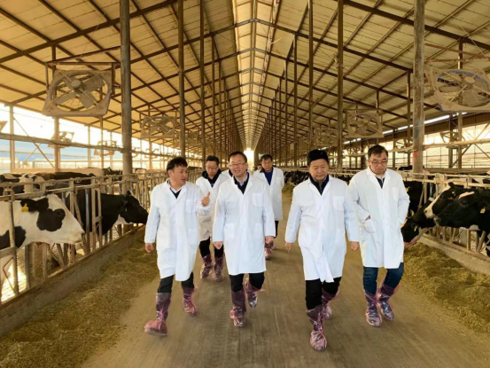 寧夏回族自治區(qū)農(nóng)業(yè)農(nóng)村廳黨組書記、廳長(zhǎng)王剛一行蒞臨花花牛乳業(yè)集團(tuán)調(diào)研
