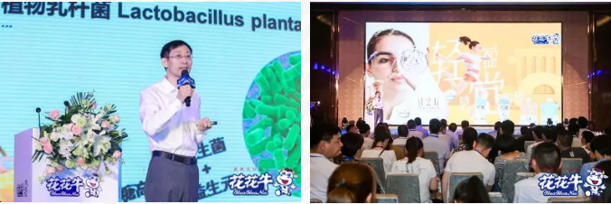 花花牛輕覺上市暨優(yōu)質(zhì)乳工程認(rèn)證發(fā)布會，盛大啟幕！