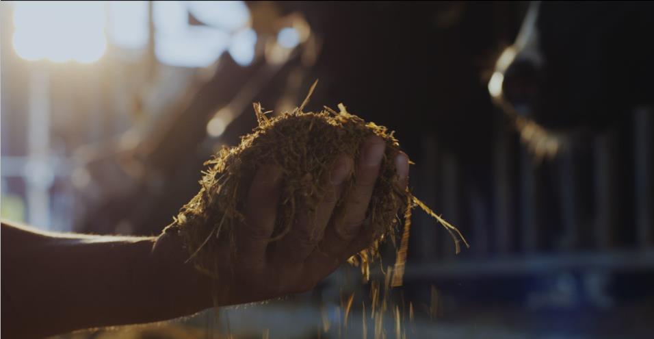 又雙叒叕獲獎(jiǎng)啦！花花牛榮獲“乳品質(zhì)量安全管理 優(yōu)秀企業(yè)”