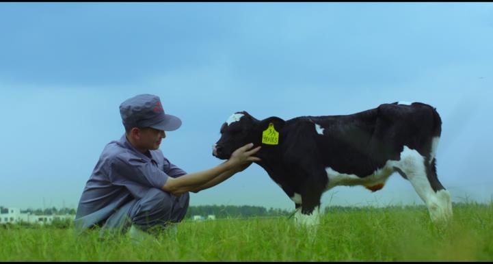 又雙叒叕獲獎(jiǎng)啦！花花牛榮獲“乳品質(zhì)量安全管理 優(yōu)秀企業(yè)”