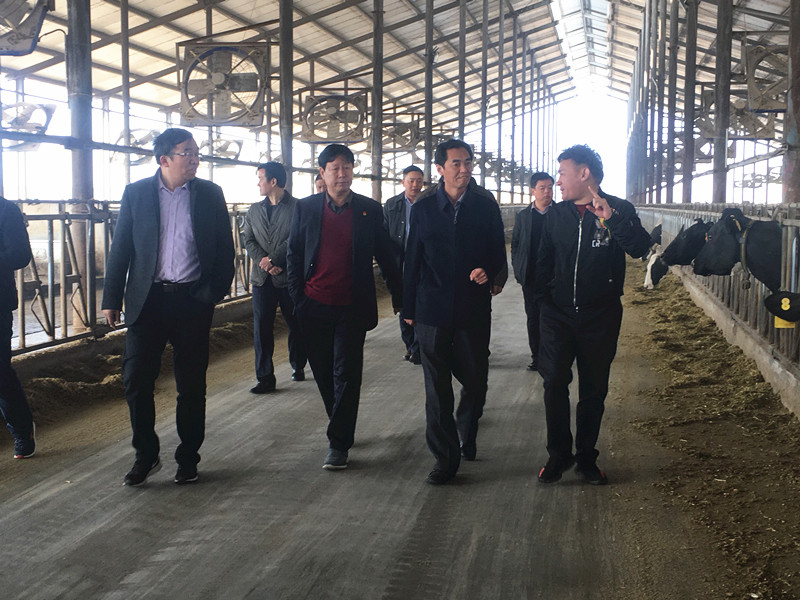 封丘縣縣長王獻臣一行蒞臨 花花牛集團養(yǎng)殖、乳品事業(yè)部參觀調研