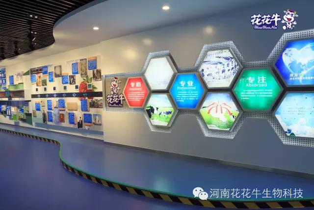花花牛：務(wù)實、創(chuàng)新領(lǐng)潮市場 大企業(yè)體現(xiàn)大擔(dān)當(dāng)