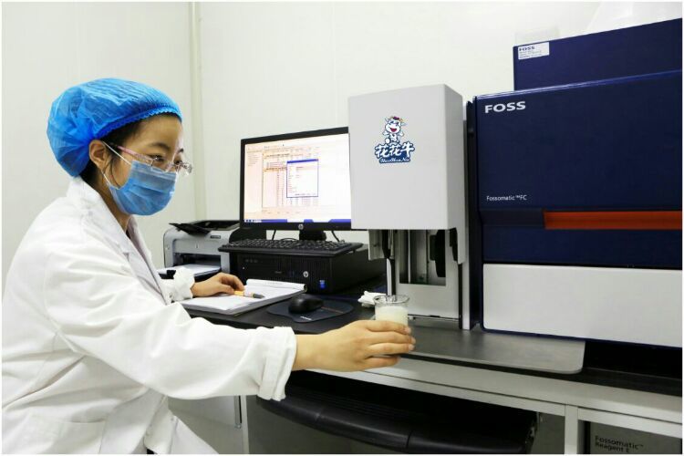 花花牛：務(wù)實、創(chuàng)新領(lǐng)潮市場 大企業(yè)體現(xiàn)大擔(dān)當(dāng)