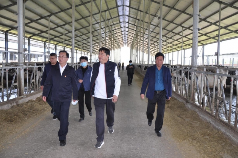 商丘市委常委、宣傳部部長王全周一行蒞臨睢縣瑞亞牧業(yè)有限公司調(diào)研