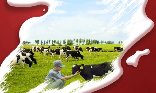 喜報！花花牛董事長關(guān)曉彥再獲”優(yōu) 秀企業(yè)家”稱號