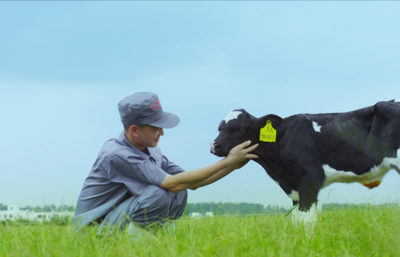 葉縣瑞亞牧業(yè)有限公司 年存欄5000頭奶牛一期存欄3000頭奶牛建設(shè)項(xiàng)目 環(huán)境影響評價(jià)公眾參與第二次